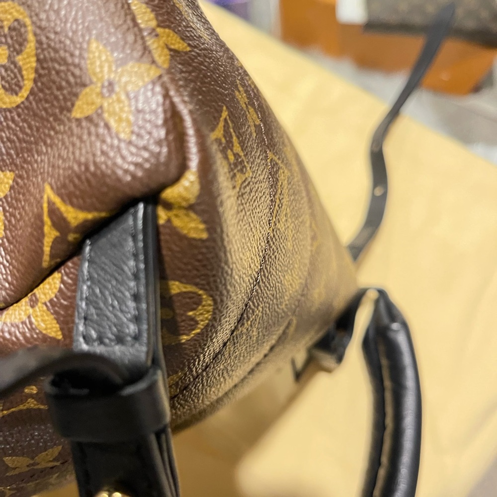 Louisvuitton Palms Spring PM  Reverse - Picture 9 of 11